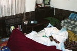 img591.jpg